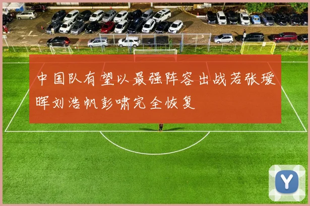 中国队有望以最强阵容出战若张瑷晖刘浩帆彭啸完全恢复